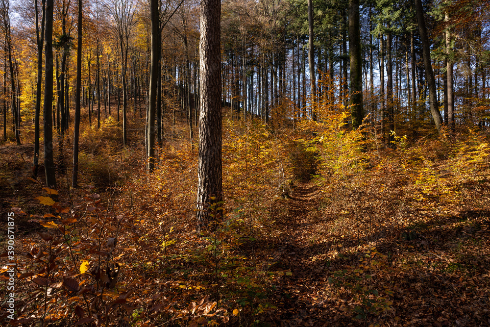 Obraz premium Dahner Felsenland