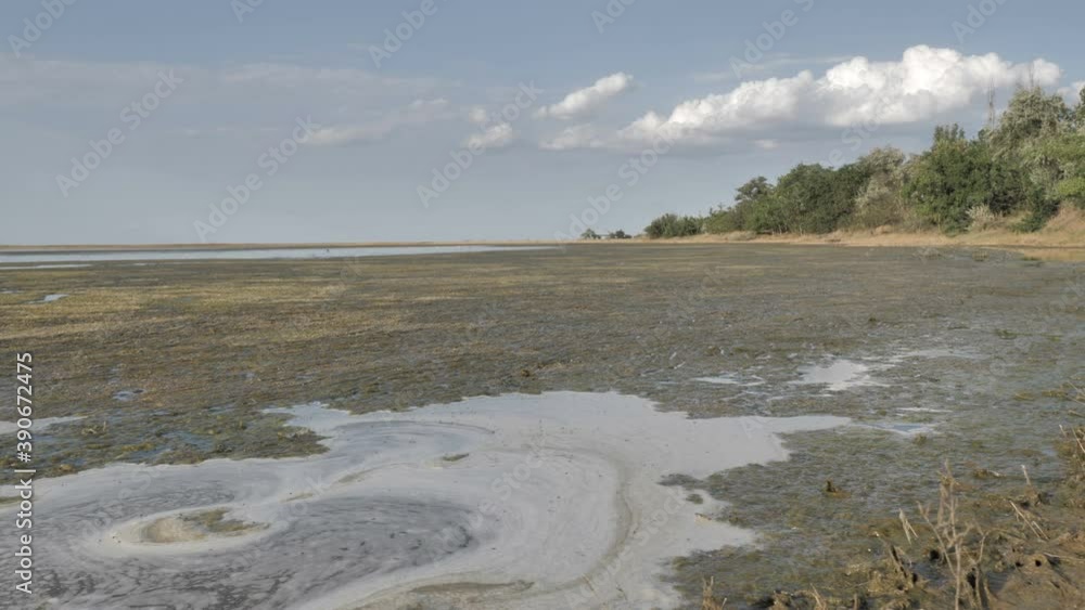 Dirty Water, Dried lake, pond or river. Concept Drought on earth