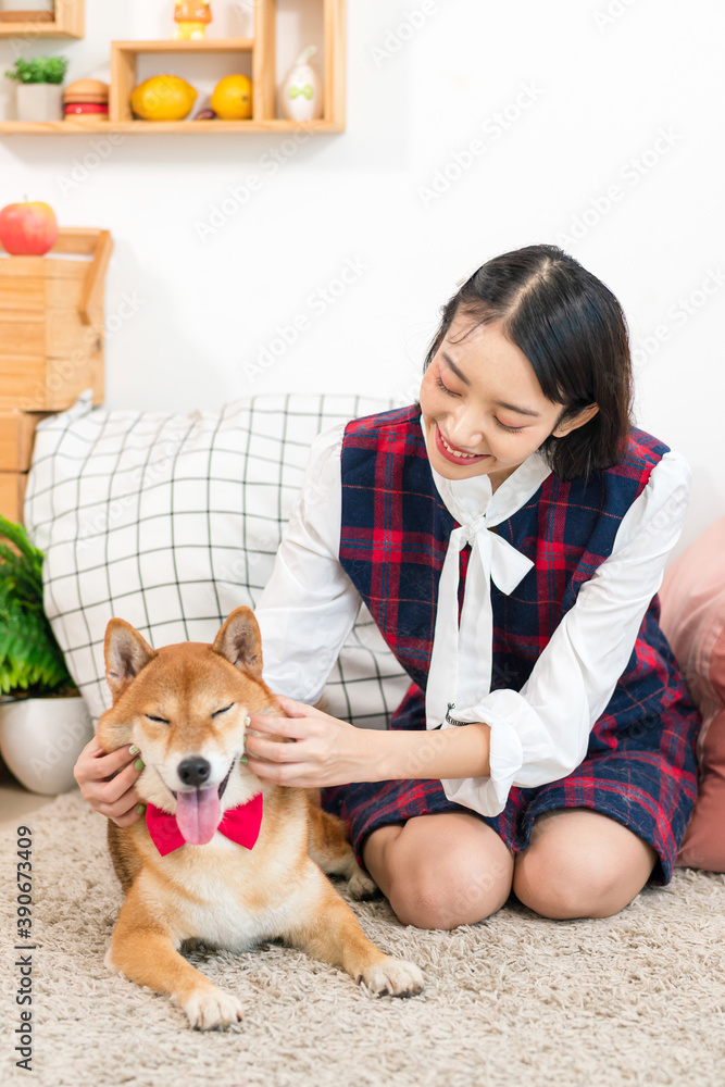 A girl playing with a Shiba Inu in a living room. A girl playing with a Shiba Inu in a living room.