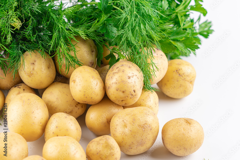 New raw potatoes and fresh greens isolated on white background close up New raw potatoes and fresh greens isolated on white background close up