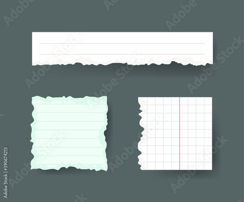 Vector Illustration Clip Art Scraps Papers. Set of Notebook Pieces. Torn Page Isolated Objects