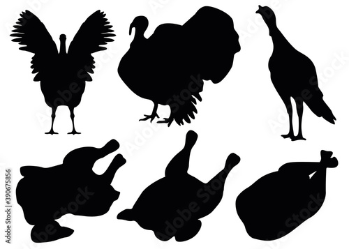 Turkey and turkey carcass set. Vector image.