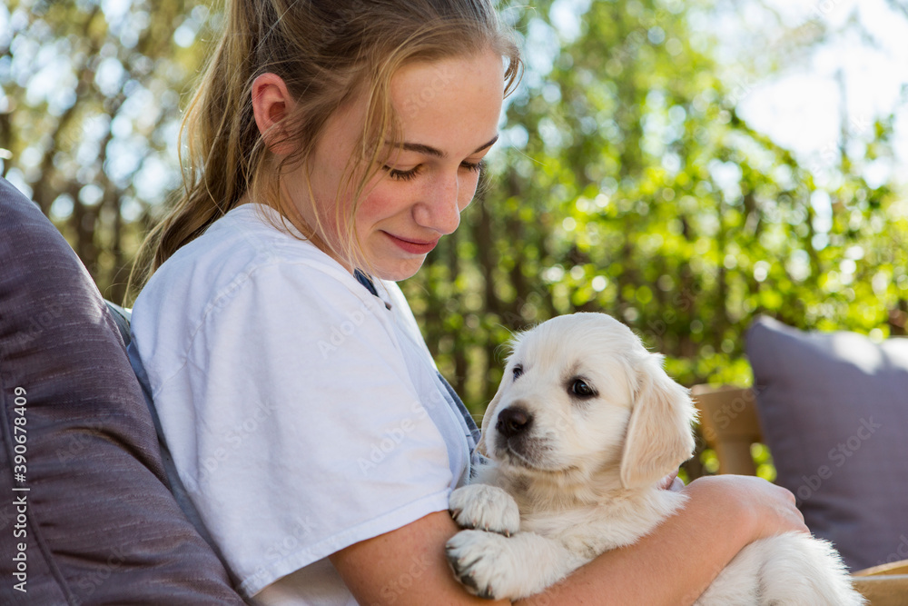 teen age girl holding a English golden retriever puppy teen age girl holding a English golden retriever puppy