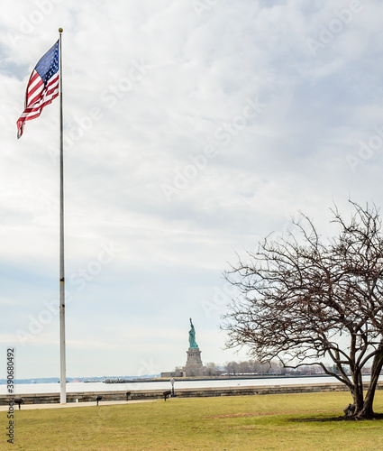 United States of America Flag and and a Bare Tree.  Statue of Liberty Enlightening the World in Background. New York City, USA photo