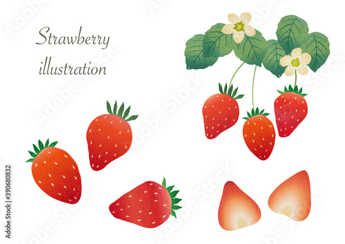 illustration set of strawberry