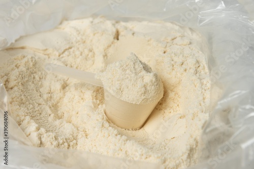 whey protein 