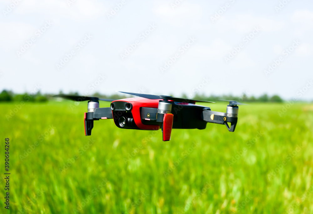 Drone planes fly over the green rice fields. Agricultural technology use