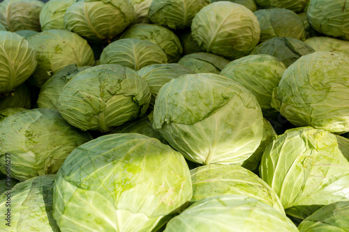 Fresh organic heads of cabbages on the farmers market. Close-up cabbage background.