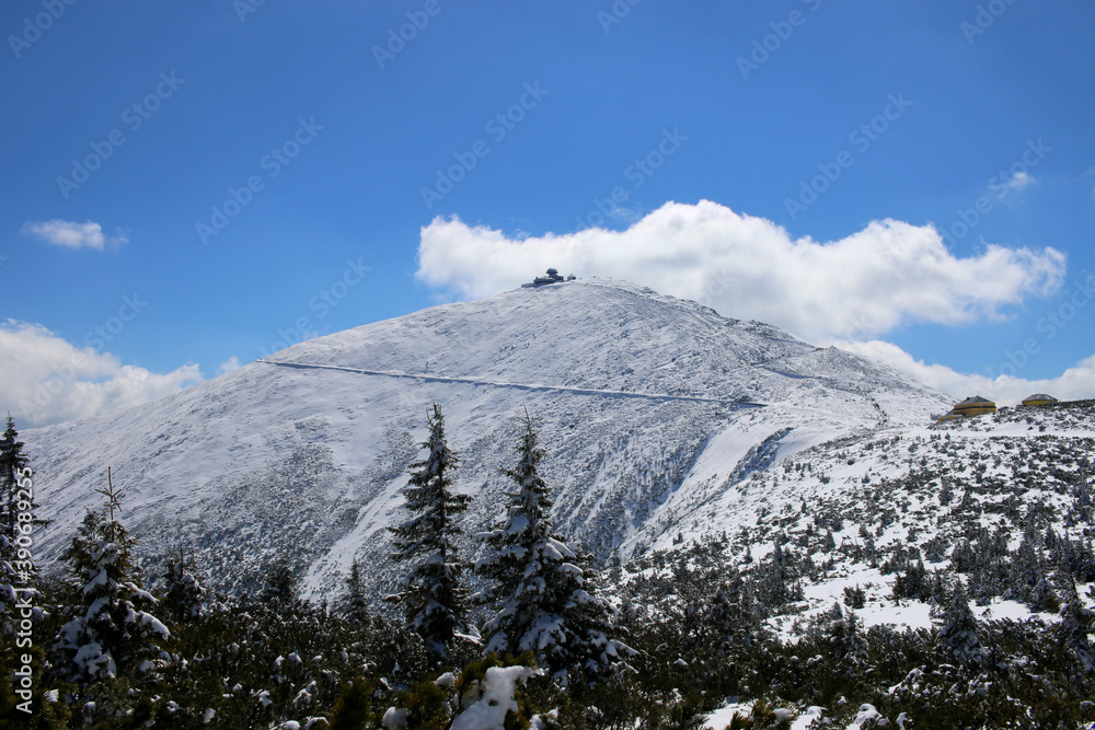 Mountain trail in the Karkonosze Mountains in winter. In the distance, the snow-covered peak Sniezka. Karkonosze, Poland. Snow-covered mountains and trees. Blue sky and white cloud
