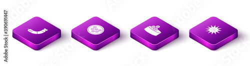 Set Isometric Shrimp, Caviar on a plate, Tin can with caviar and Sea urchin icon. Vector.