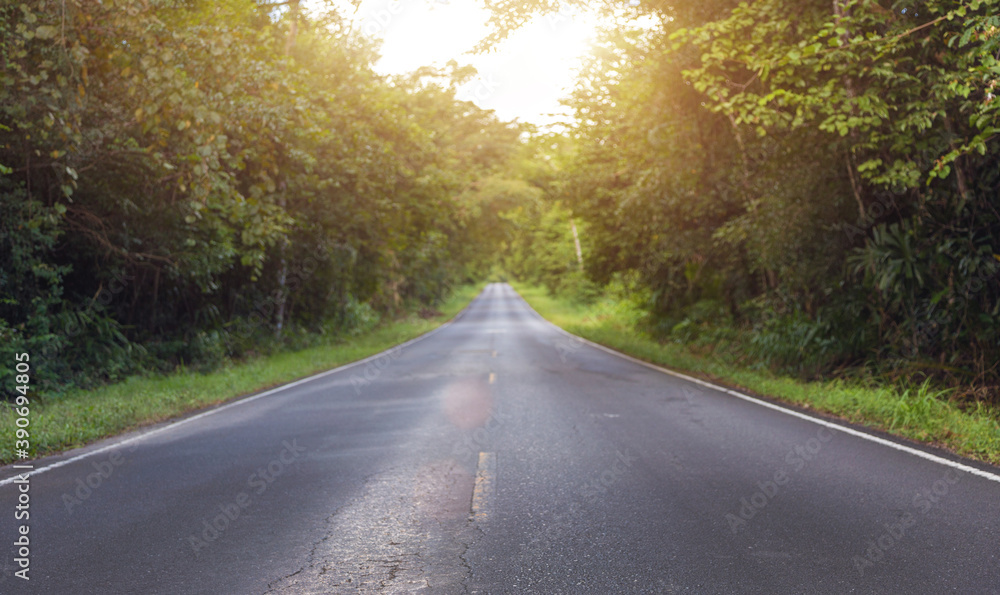 Fototapeta premium landscape road to the jungle