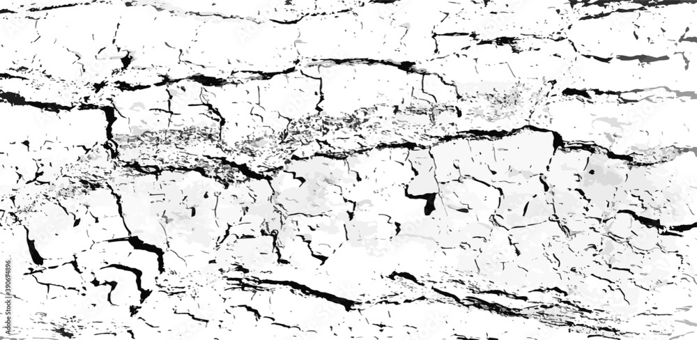 Obraz premium Black and white cracked tree bark textured surface with rough scratchy texture.