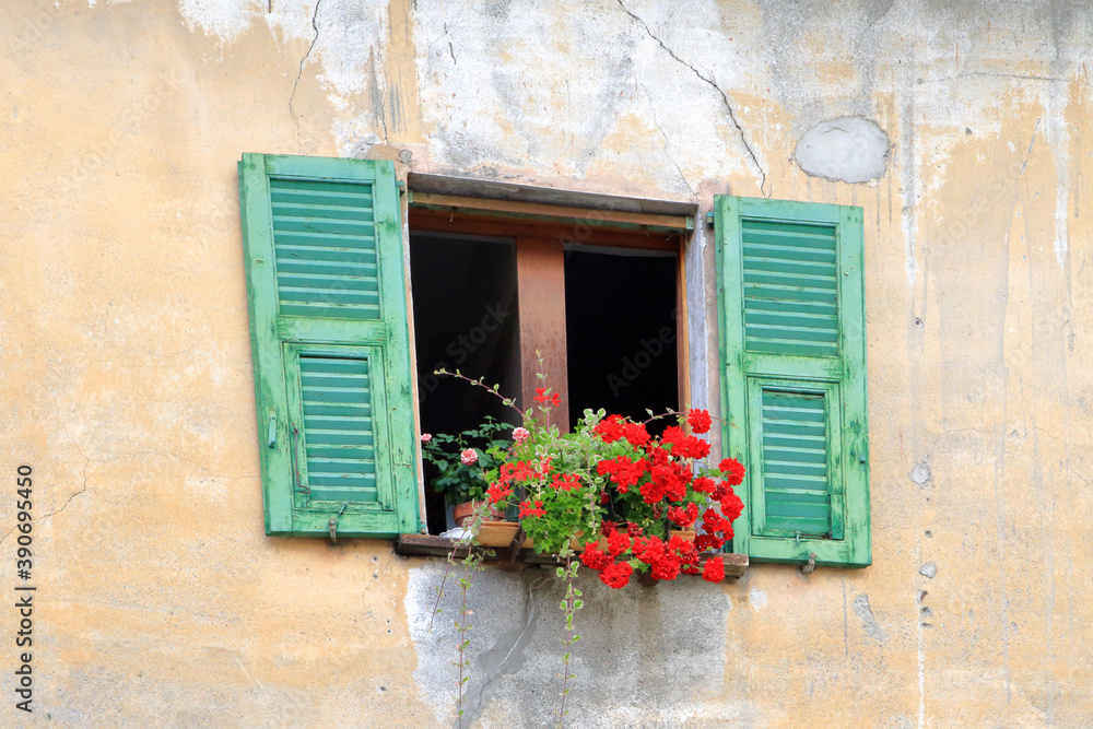 finestra con fiori, window with flowers