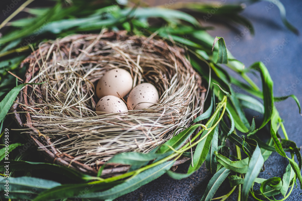 Obraz premium Easter card concept