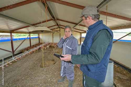 Veterinary and female farmer analysing the growth of the chicken breeding on a digital  tablet