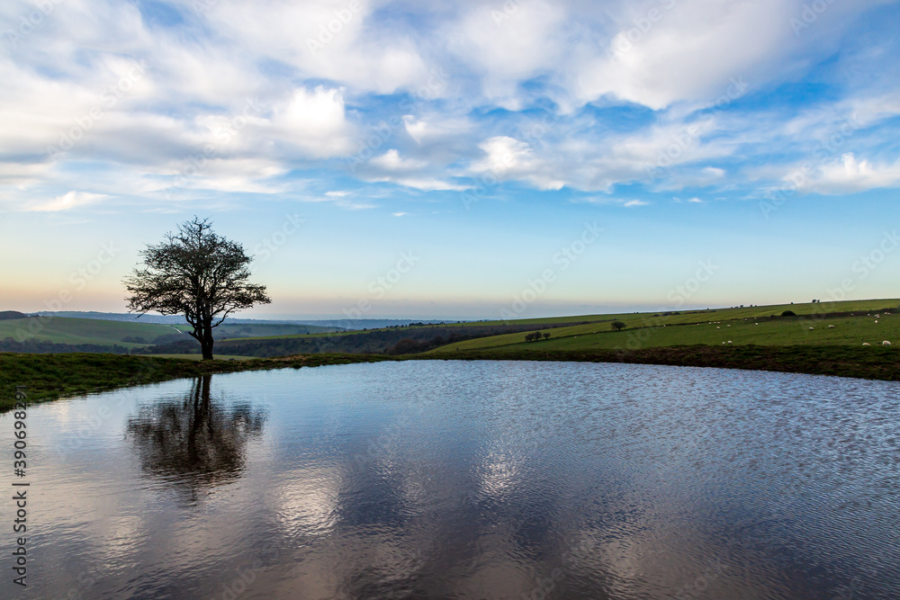 A View of Ditchling Beacon Dew Pond
