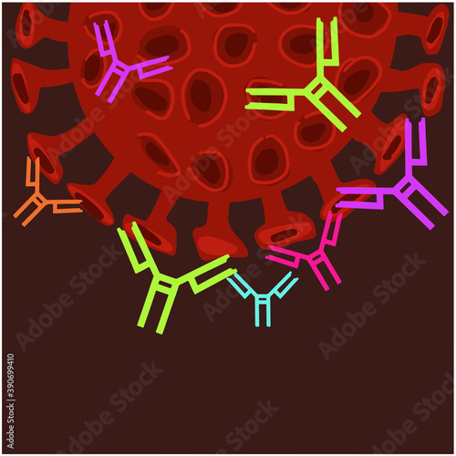 Coronavirus bacteria with immunoglobulin molecules. Human normal immunoglobuline. vector illustration eps10 Isolated on white background.