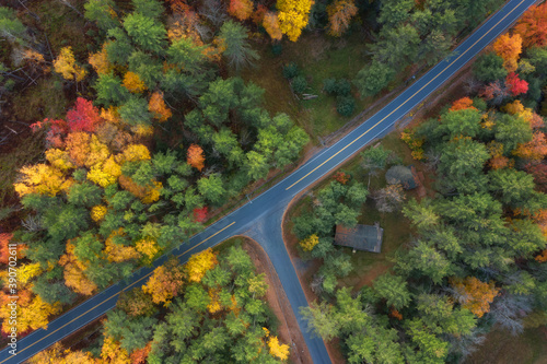 Aerial view on the road in the forest