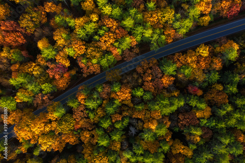 Aerial view on the road in the forest during autumn