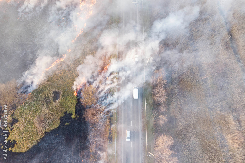 burning field of dead wood next to the road and moving vehicles, drone photography