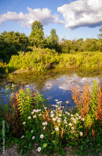 Jamestown Audubon Center and Sanctuary