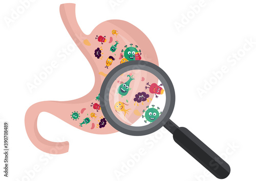 Illustration vector of  cute funny benefits is Probiotics to stomach