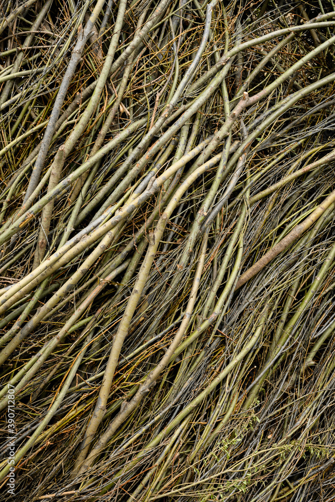 Background image of tight bare vines Background image of tight bare vines