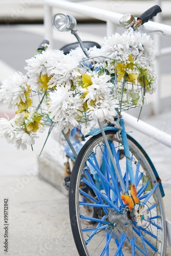 Flowered Bicycle