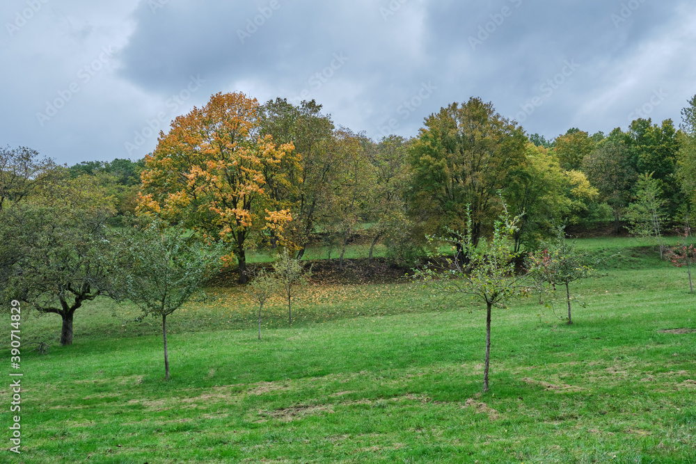 Herbstlandschaften zwischen Bensheim und Heppenheim. Herbstlandschaften zwischen Bensheim und Heppenheim.