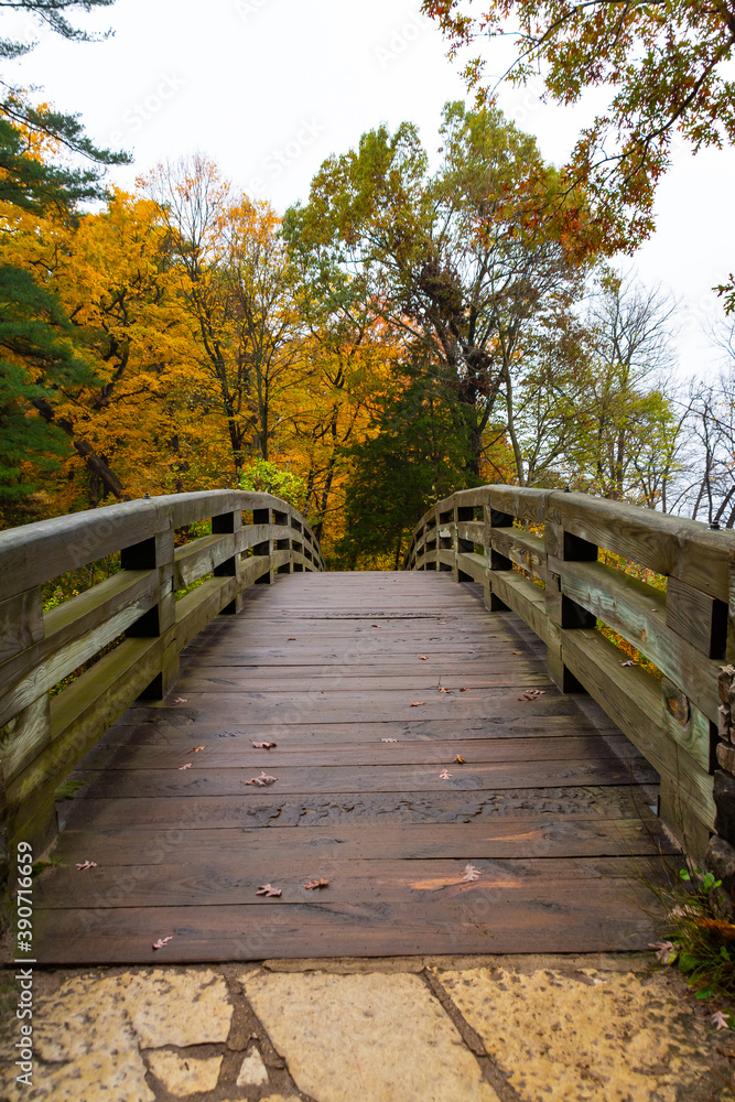 Wooden Bridge