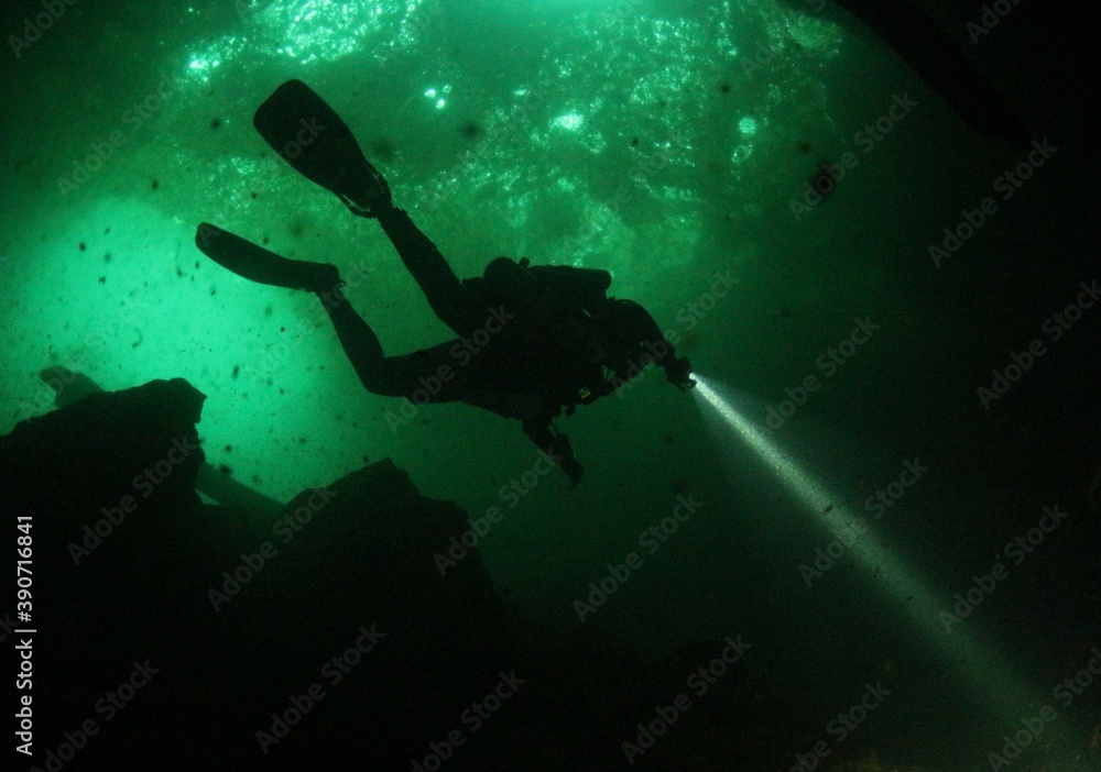 Obraz premium Rebreather silhouette 
