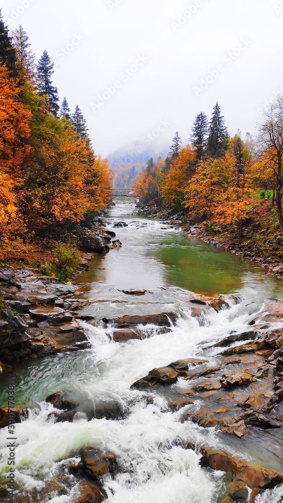 mountain river in autumn mountain river in autumn