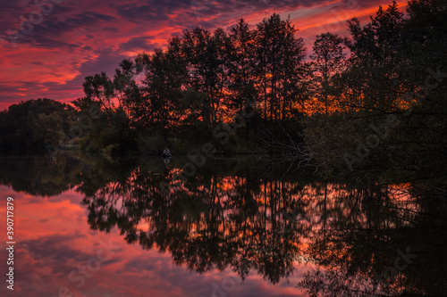 sunset in the forest © Evgenii Ryzhenkov