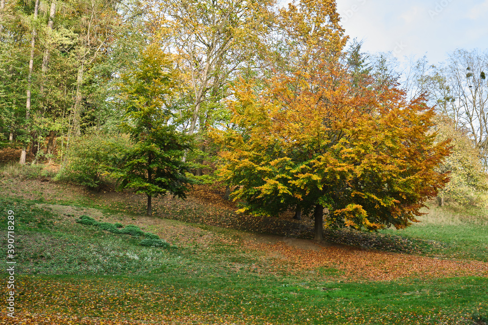 Herbstlandschaften zwischen Bensheim und Heppenheim.