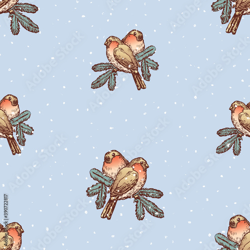Seamless background of sketches bullfinches on branches on snowy frosty winter day