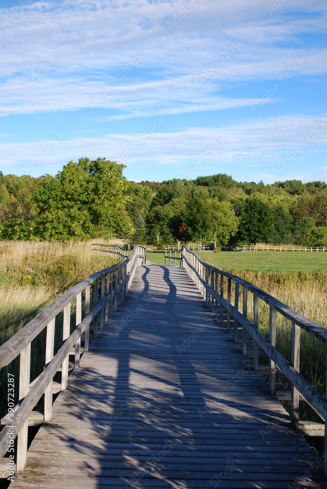 Wooden bridge leading into the woods, Manitoulin Island, ON, Canada