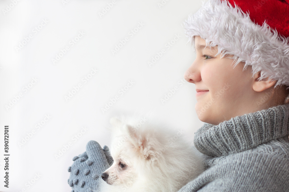 A teenage girl in a Santa hat, gray sweater and mittens holds a small white fluffy Pomeranian. The concept of Christmas and New year and taking care of the Pets, shelter at Christmas A teenage girl in a Santa hat, gray sweater and mittens holds a small white fluffy Pomeranian. The concept of Christmas and New year and taking care of the Pets, shelter at Christmas