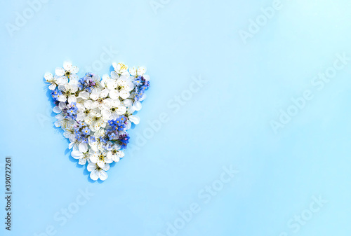 Heart shape made of the cherry tree white flowers