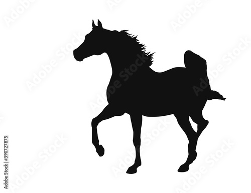 Arabian horse with long mane run forward vector silhouette