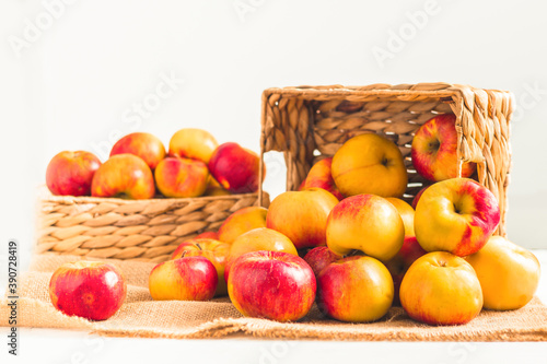 Fresh yellow and red apples in the wicker basket on the white background. Autumn harvesting