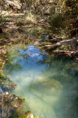 Fototapeta Naklejka Na Ścianę i Meble -  Green color pond in the forest in Turkey