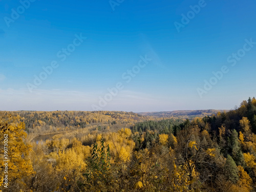 top view of the autumn yellow forest and the Gauja river