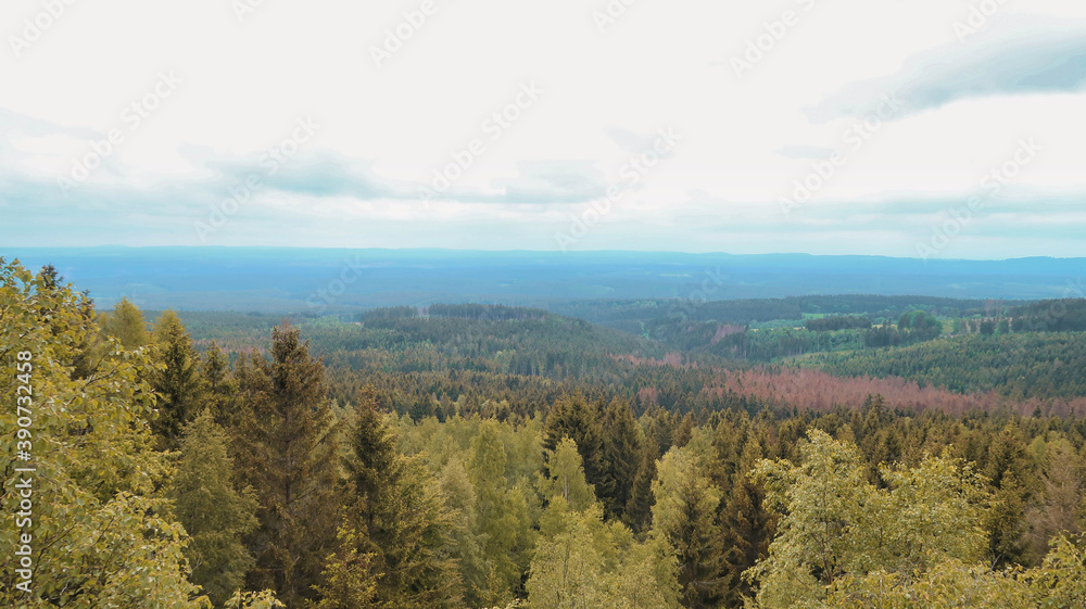 Fototapeta premium Trudenstein Ausblick über Harz Landschaft