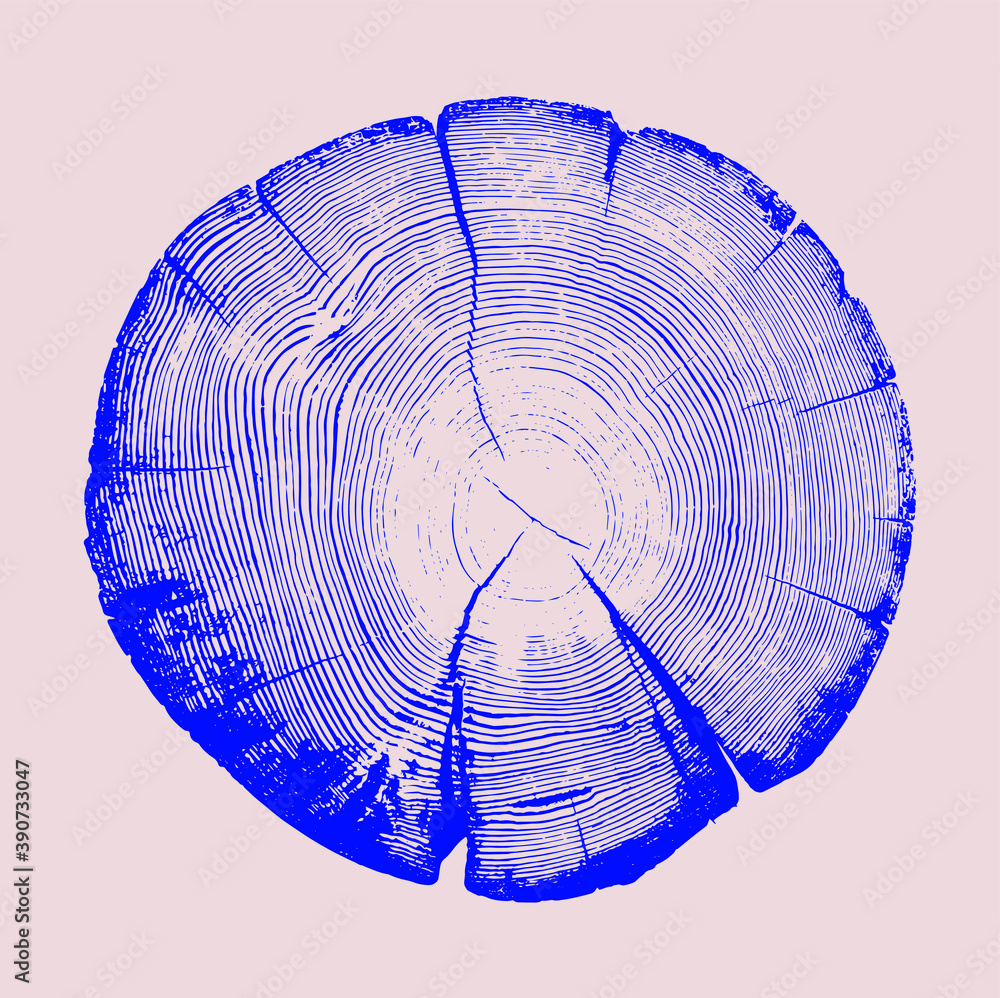Wood tree art texture stamp for card or background. Detailed tree ring design. Rough organic tree rings with close up of end grain.
