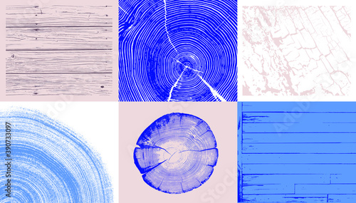 Wood tree art texture stamp for card or background. Detailed tree ring design. Rough organic tree rings with close up of end grain.
