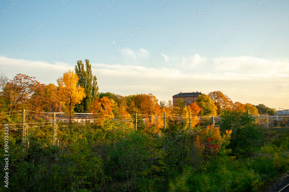 fall leaf tree landscape and in Schoneberg Berlin Germany