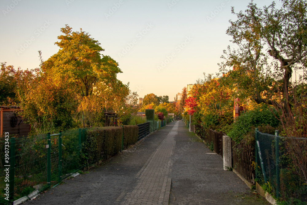 Pedestrian bike path in small garden in Schoneberg Berlin Germany