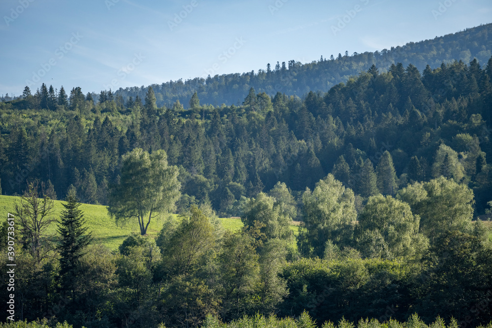 Fototapeta premium bieszczady przepiękny widok góry, koniec świata, natura raj na ziemi