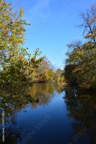 autumn trees reflected in water