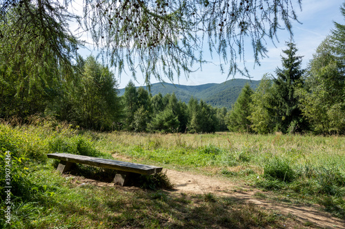 Fototapeta Naklejka Na Ścianę i Meble -  bieszczady przepiękny widok góry, koniec świata, natura raj na ziemi